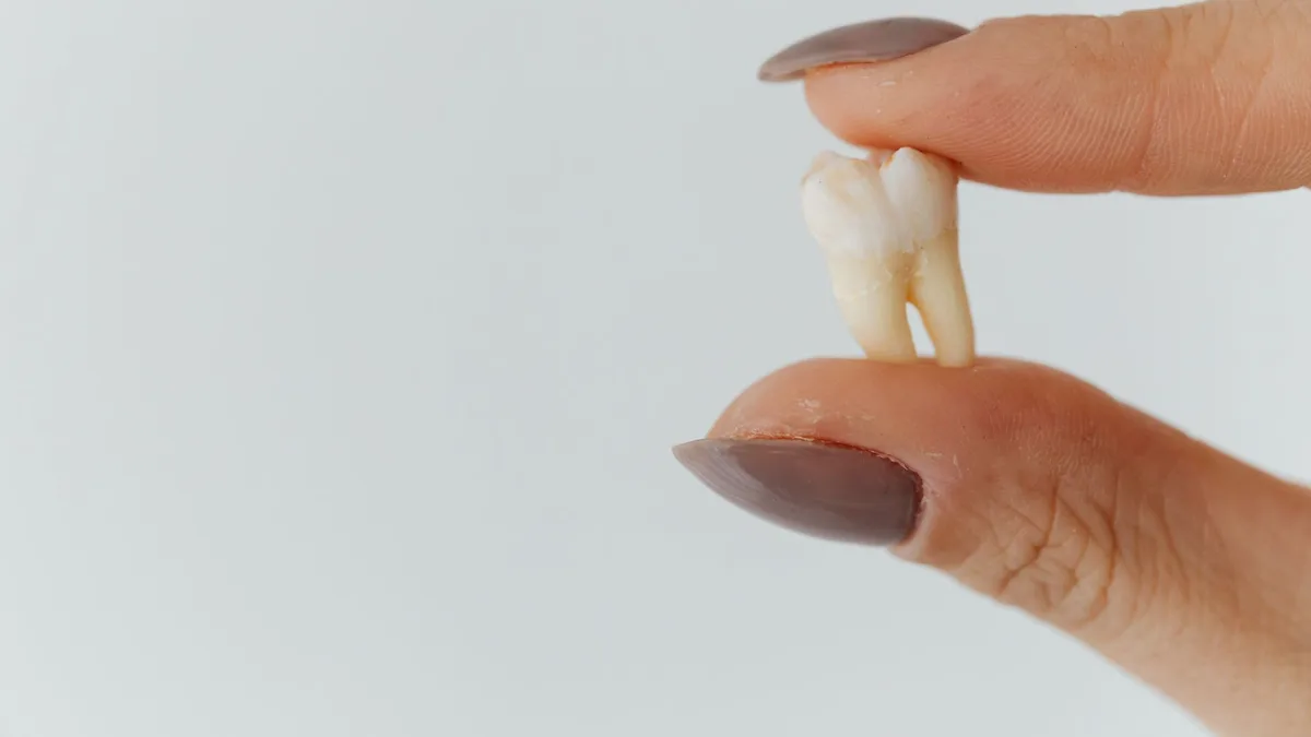 Detailed close-up of fingers holding a loose tooth against a white background.