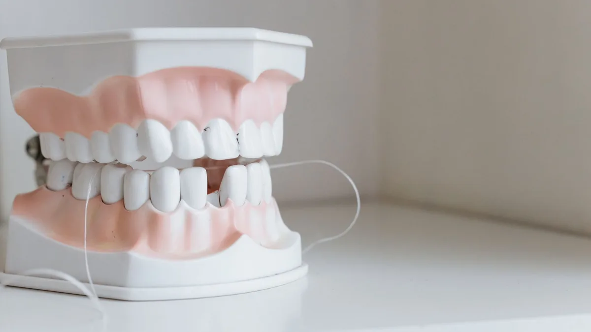 Close-up of a dental model with floss, symbolizing oral hygiene and dental care.