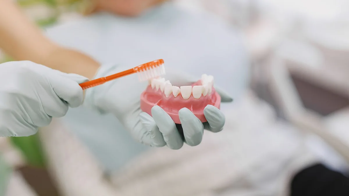 Close-up of hands in gloves demonstrating proper tooth brushing technique using a dental model.