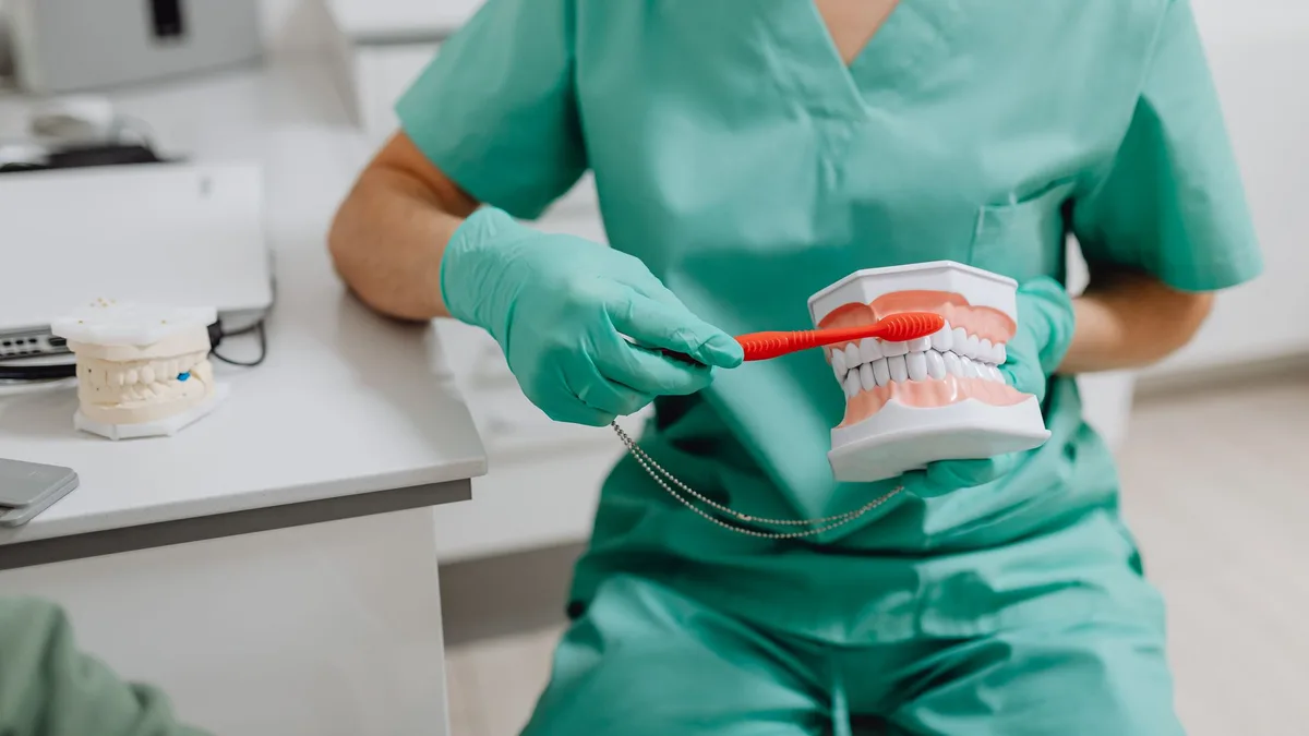 A dental professional demonstrating proper toothbrush technique with a dental model.